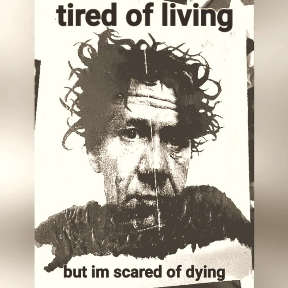 Second Chances limited prints.